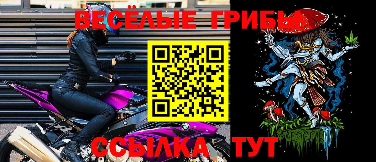 Псилоцибиновые грибы ЛСД  Вход с VPN  Курчалой  Псилоцибиновые грибы Psilocybe 